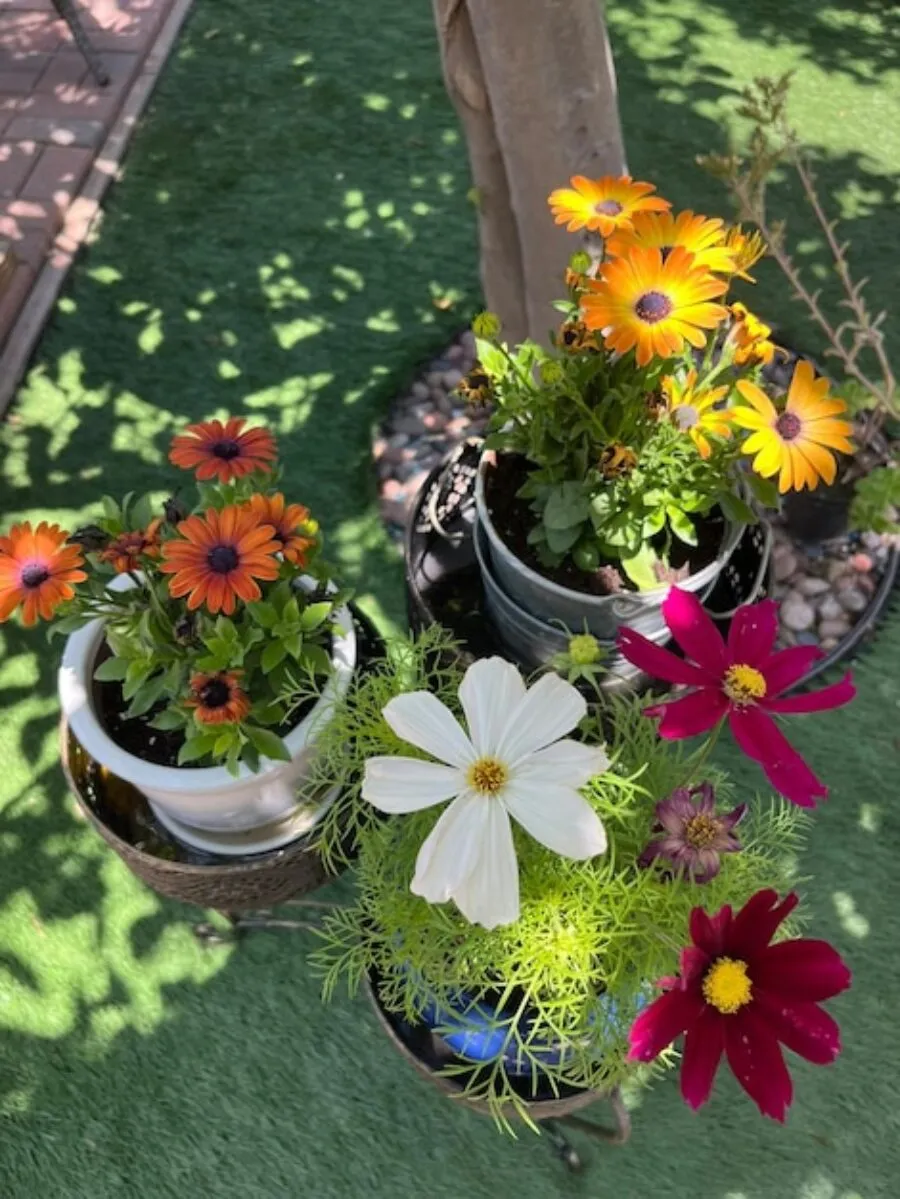 Aranżacja ogrodu przed domem: inspiracje i praktyczne pomysły na piękną przestrzeń